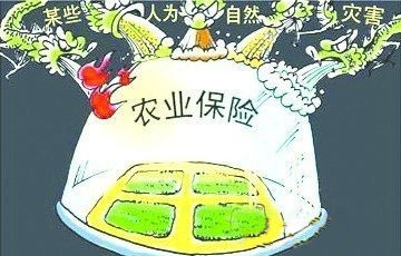 巨額賠款幫海南橡膠渡過(guò)這個(gè)嚴(yán)冬